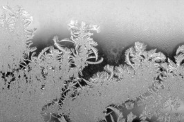 frost