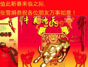 the year of the ox