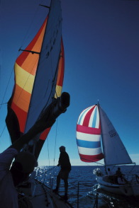 sailboats