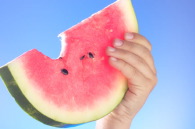 watermelon