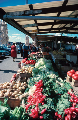vegetables