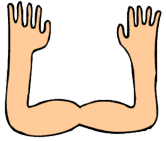 arms