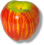 fake apple