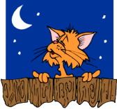 at night