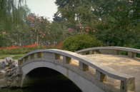 bridge