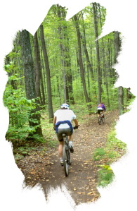bikers