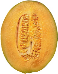 cantaloupe