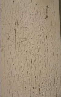 wall