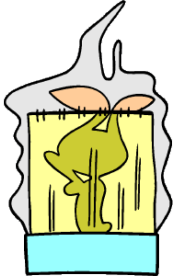 shower curtain