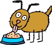 dog eating