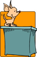 dog on table
