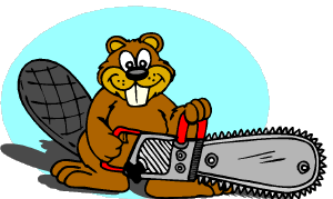 eager beaver