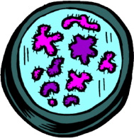 germs
