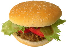 hamburger