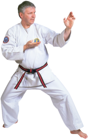 Karate expert