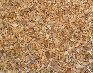 leaves