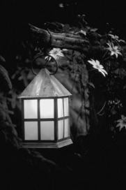 light