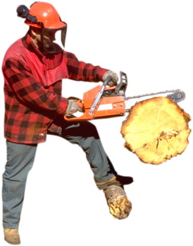 main cutting wood