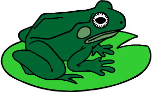 frog