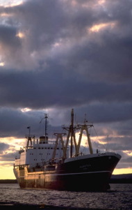 ocean freight