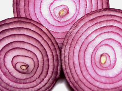 inside of an onion