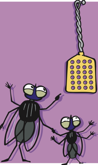 flies