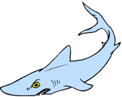 shark