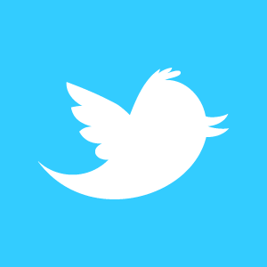 twitter bird