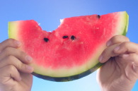 watermelon